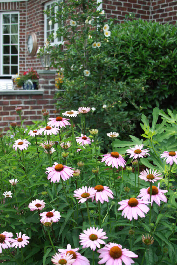 Tick Control Oyster Bay, NY