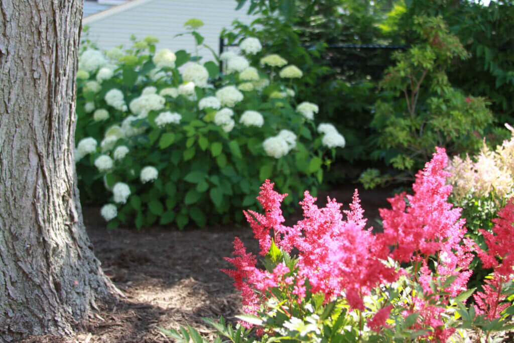 Mosquito Control Oyster Bay, NY