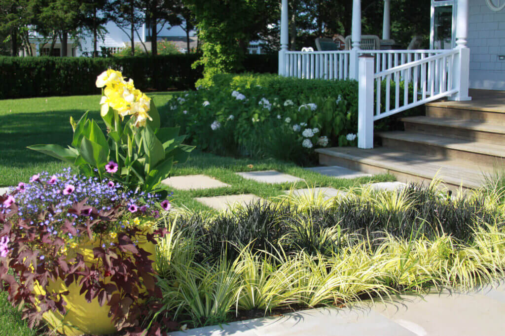 Mosquito Control Oyster Bay, NY