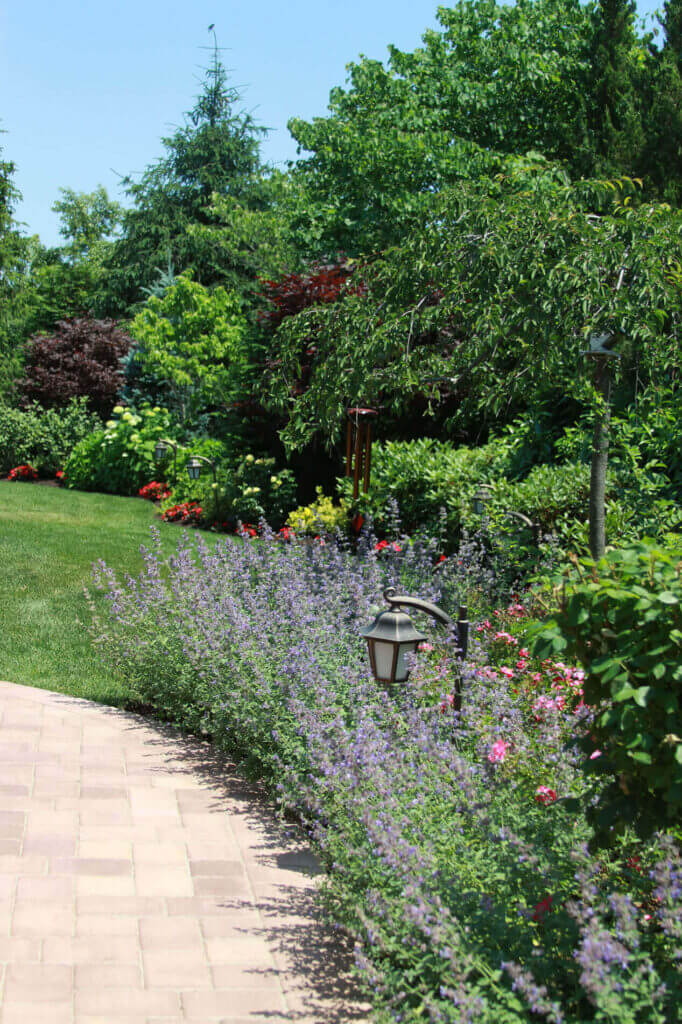 Tick Control Oyster Bay, NY