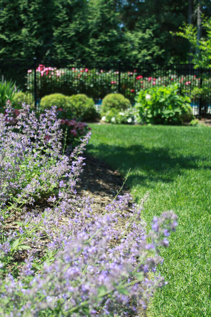 Tick Control Oyster Bay, NY