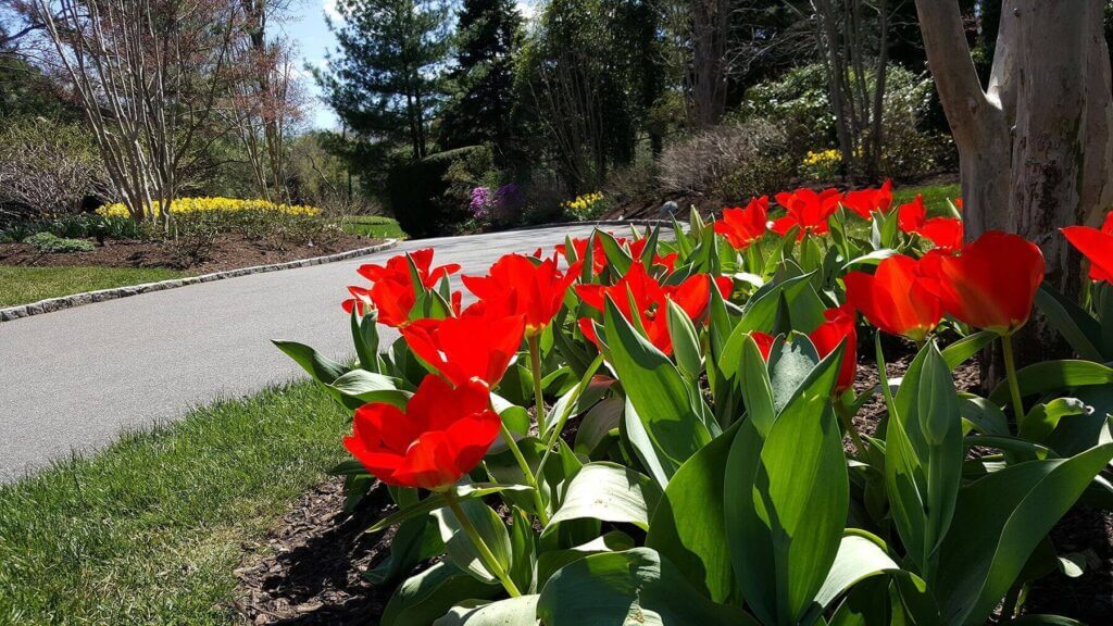 Mosquito Control Oyster Bay, NY