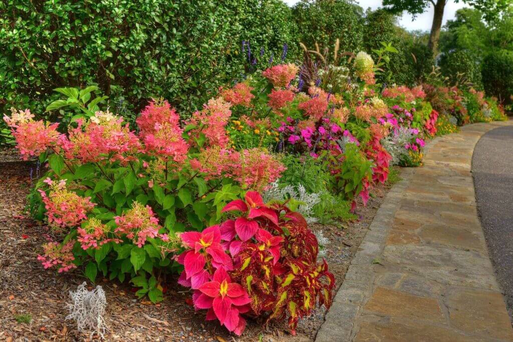 Tick Control Oyster Bay, NY