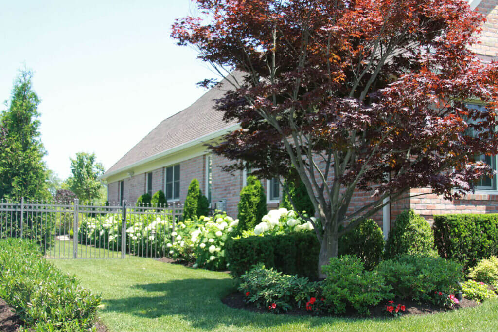 Mosquito Control Oyster Bay, NY