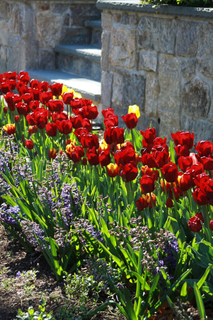 Tick Control Oyster Bay, NY