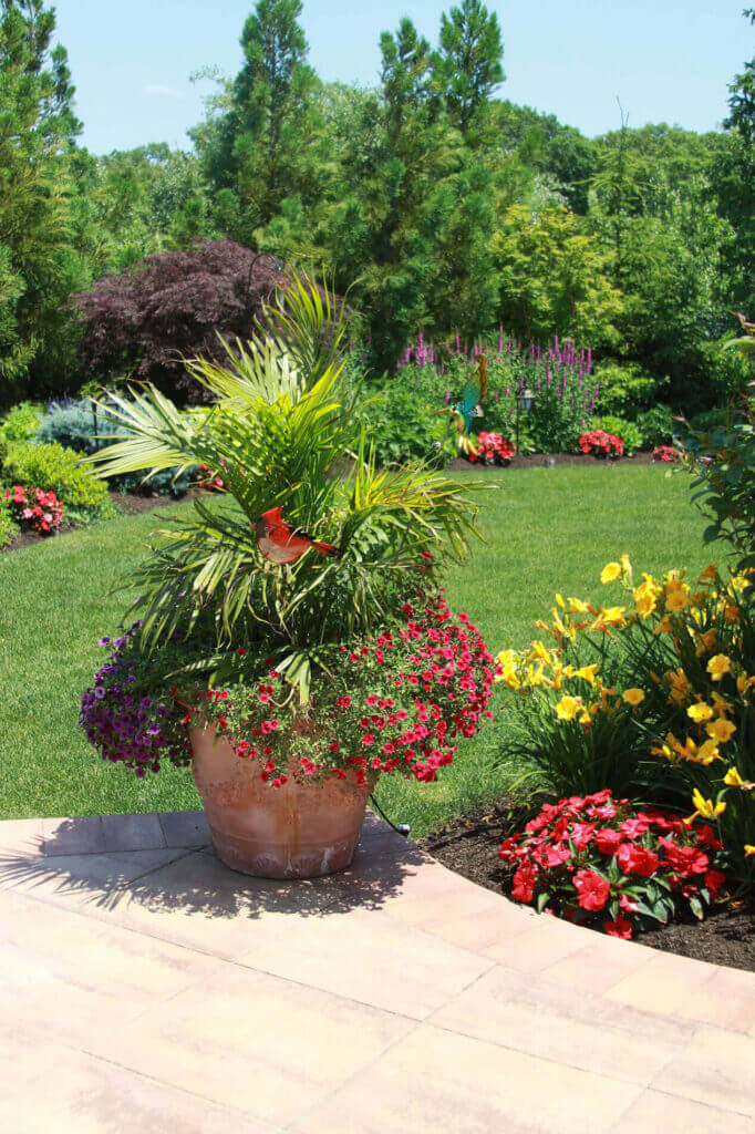 Mosquito Control Oyster Bay, NY