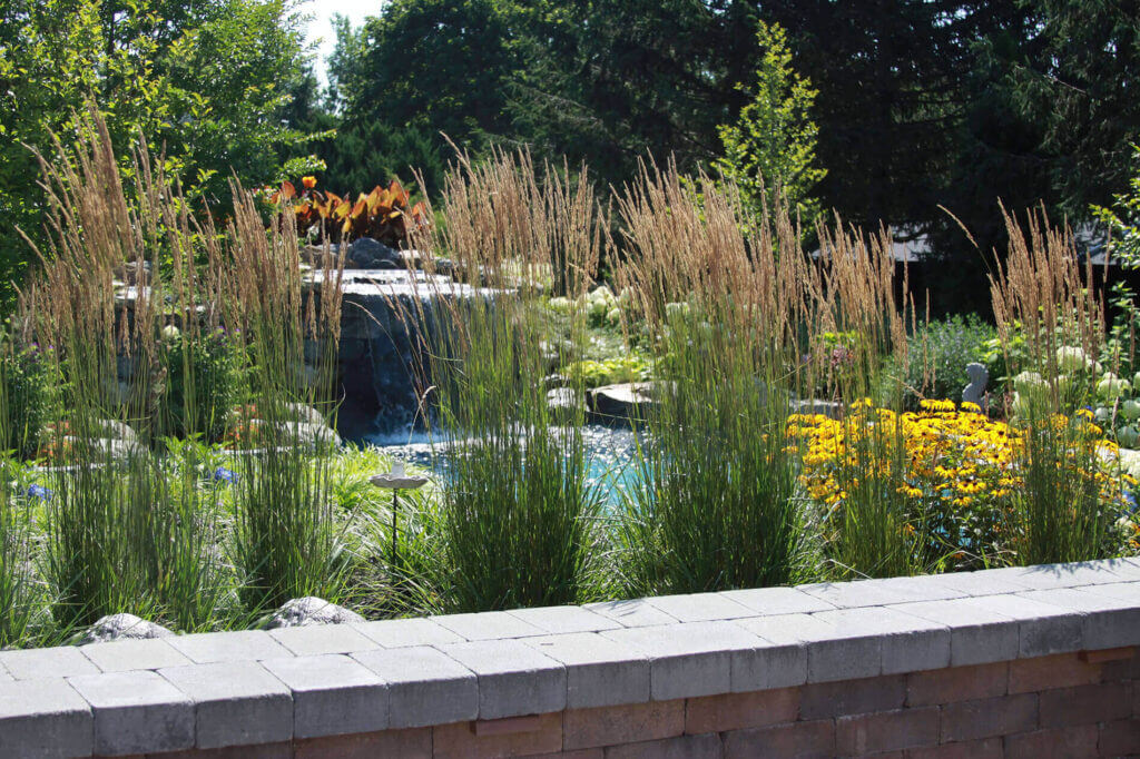 Tick Control Oyster Bay, NY