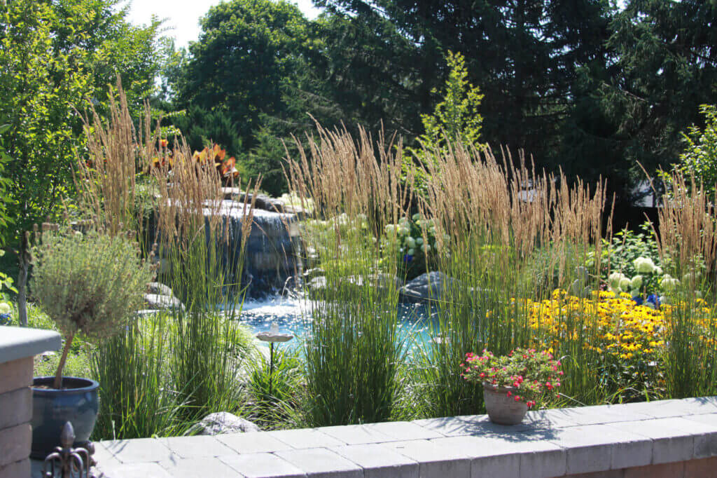 Tick Control Oyster Bay, NY