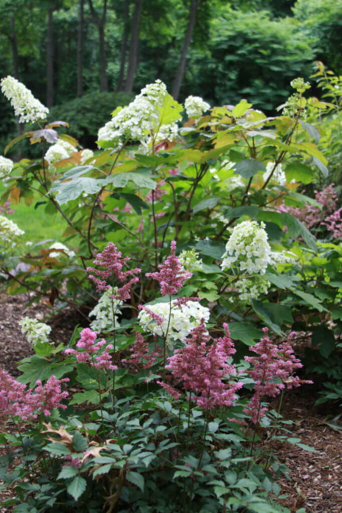 Tick Control Oyster Bay, NY
