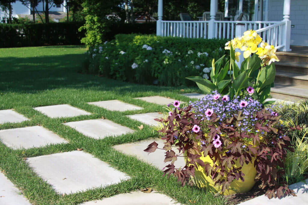 Mosquito Control Oyster Bay, NY