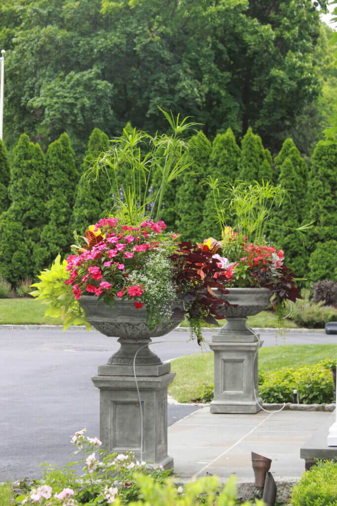 Mosquito Control Oyster Bay, NY