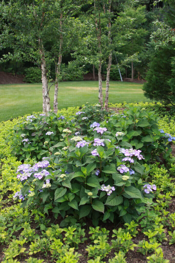Tick Control Oyster Bay, NY
