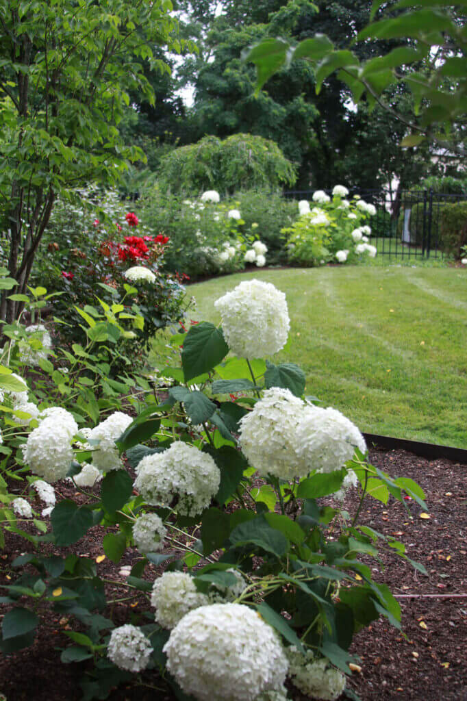 Mosquito Control Oyster Bay, NY