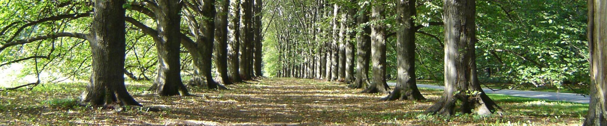 Tick Control Oyster Bay, NY