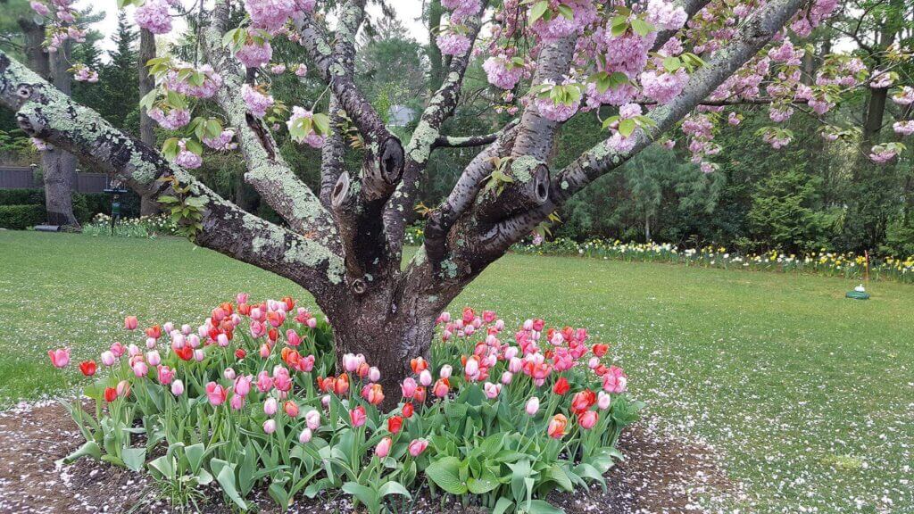 Tick Control Oyster Bay, NY