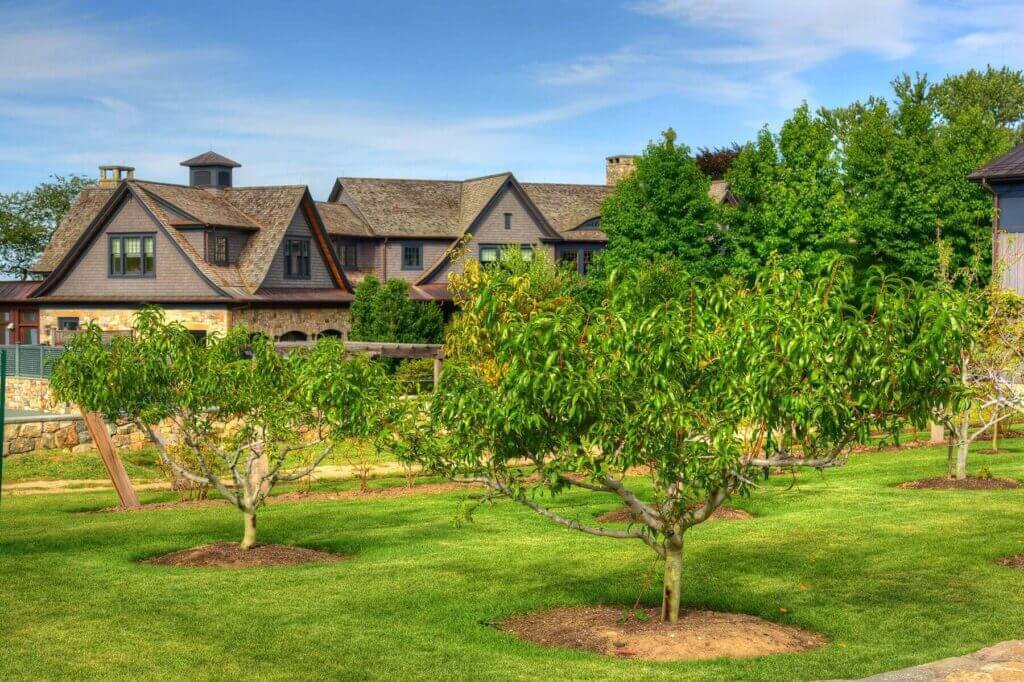 Mosquito Control Oyster Bay, NY