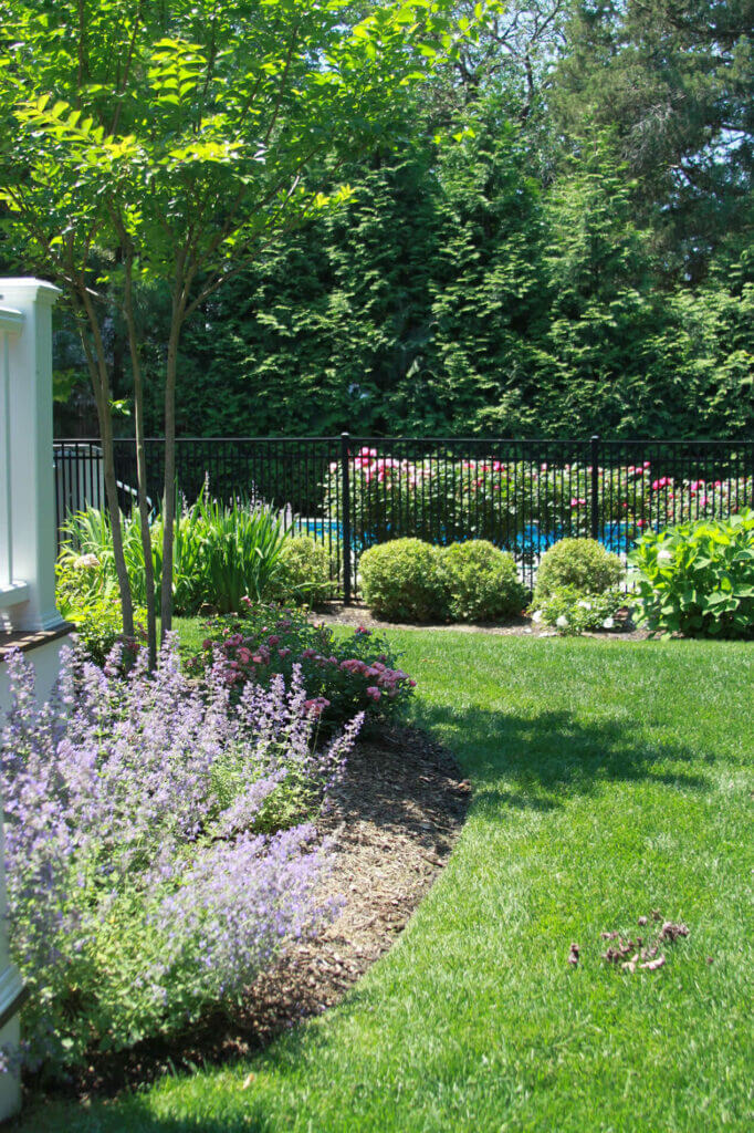 Mosquito Control Oyster Bay, NY