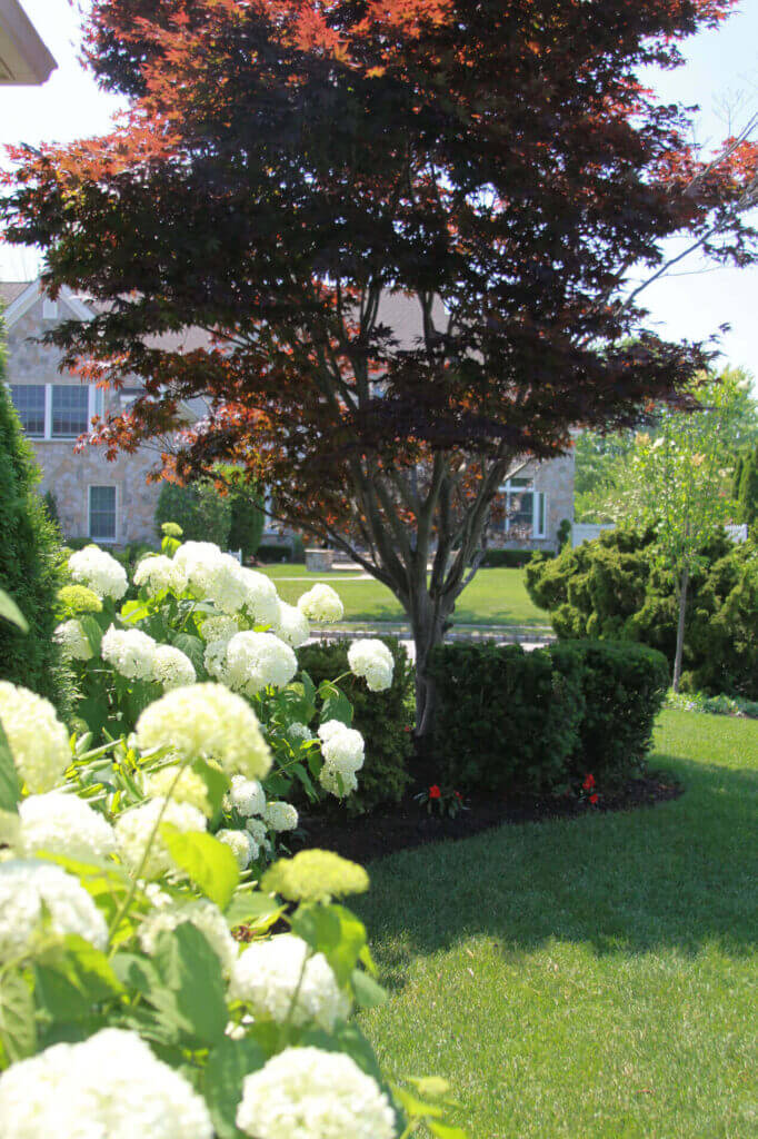 Tick Control Oyster Bay, NY