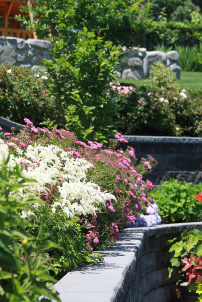 Mosquito Control Oyster Bay, NY