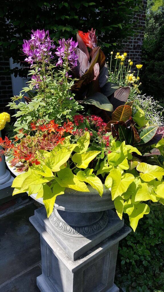 Tick Control Oyster Bay, NY