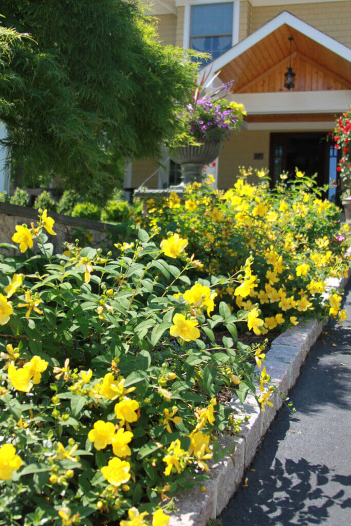 Mosquito Control Oyster Bay, NY