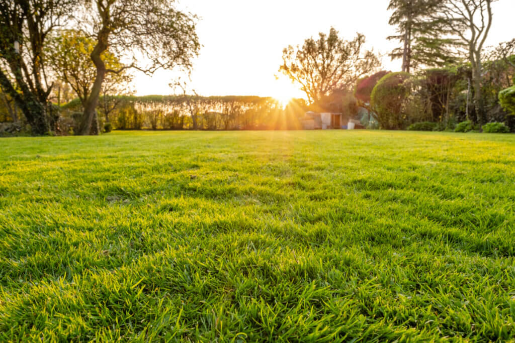 Benefits of Tick Spraying