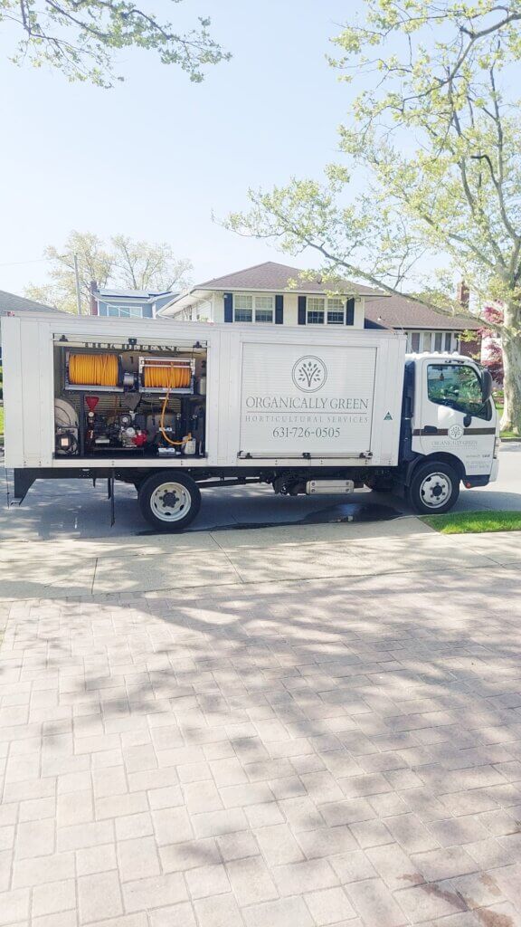 Mosquito Control Oyster Bay, NY