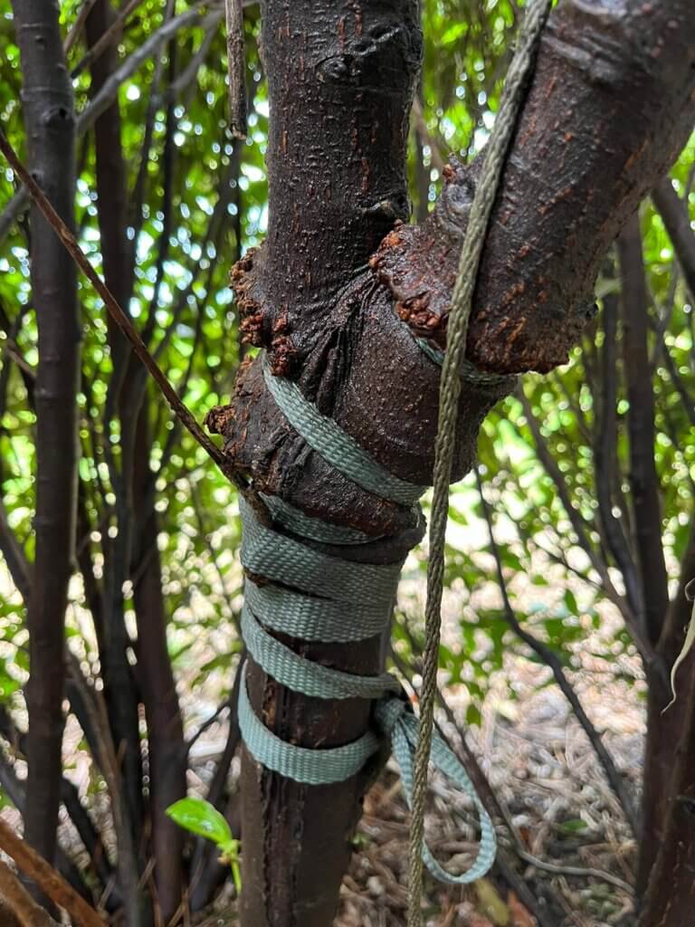 Tick Control Oyster Bay, NY